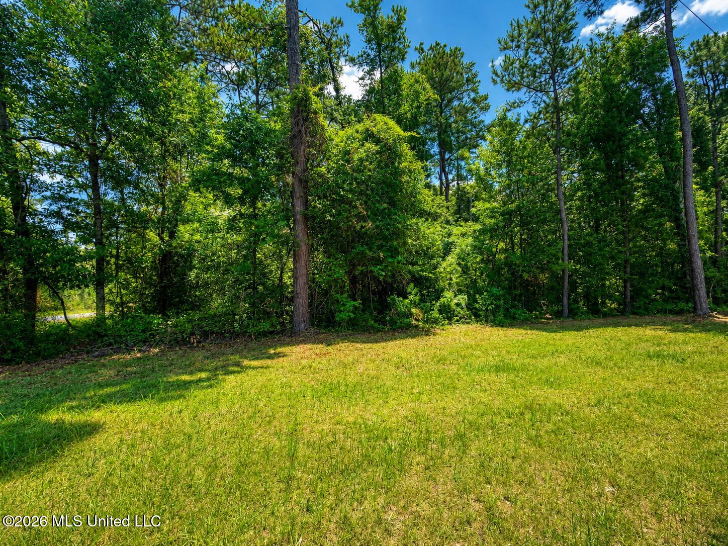 8.2-acres Breland Road McLain, MS 39456 - Photo 2 of 11 Land