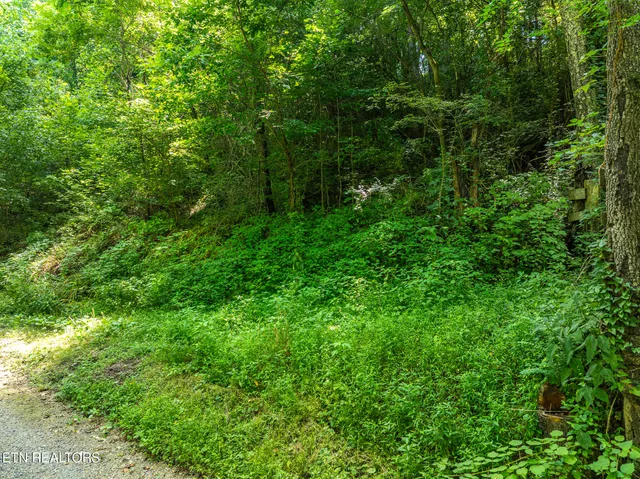 $14,909 | 174 Old Ivey Hollow Road, La Follette, TN 37766