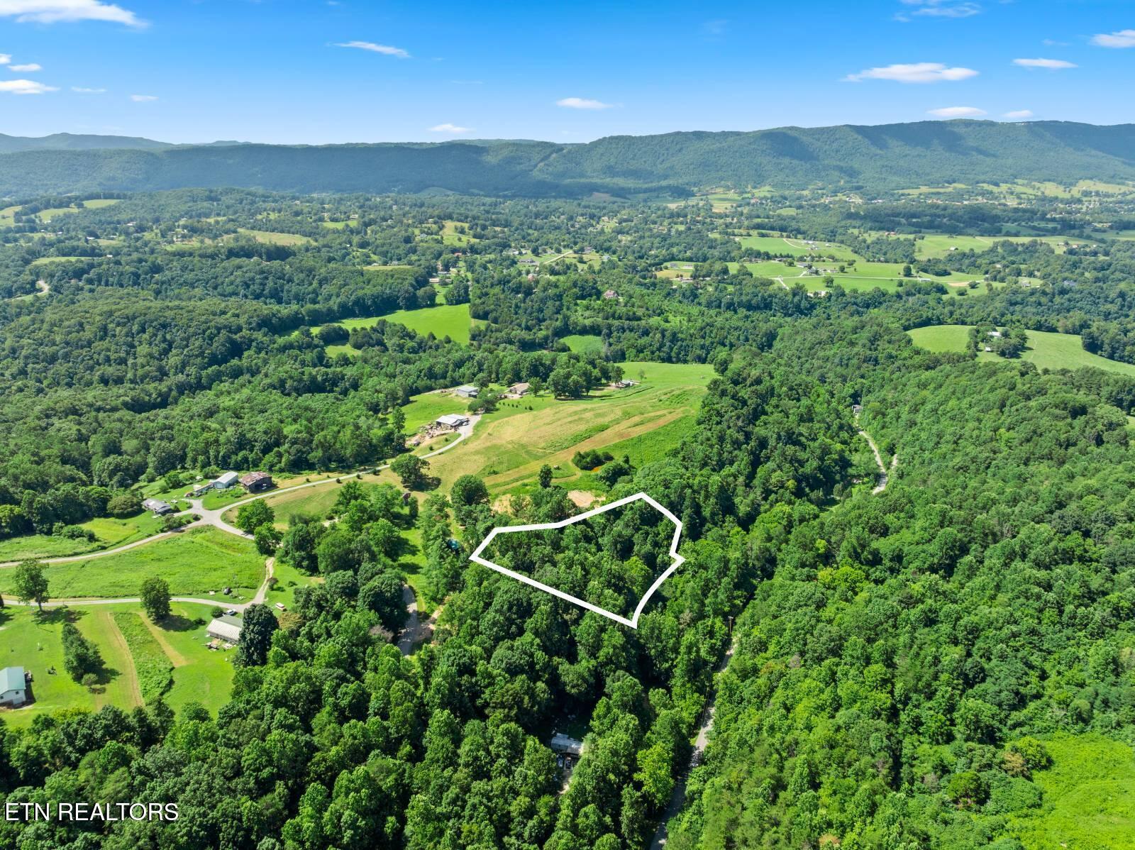 174 Old Ivey Hollow Road La Follette, TN 37766 - Photo 11 of 12 11