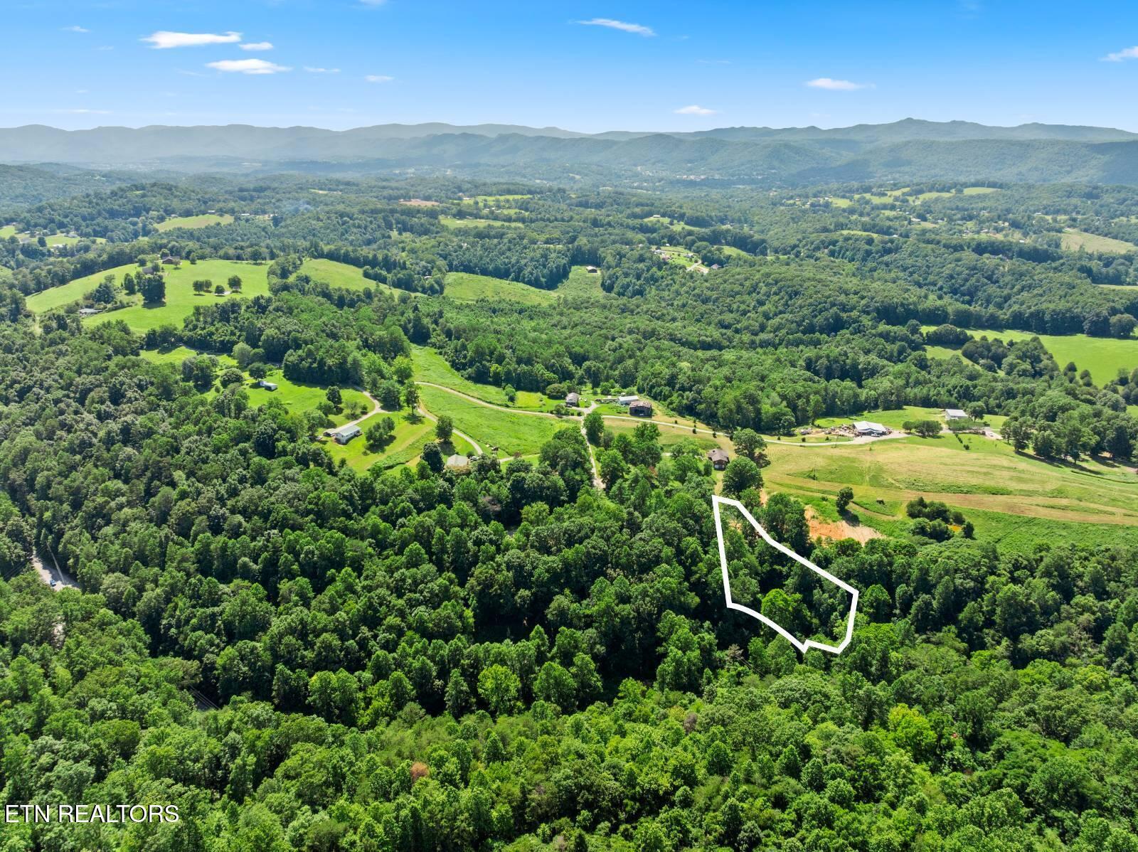 174 Old Ivey Hollow Road La Follette, TN 37766 - Photo 12 of 12 12