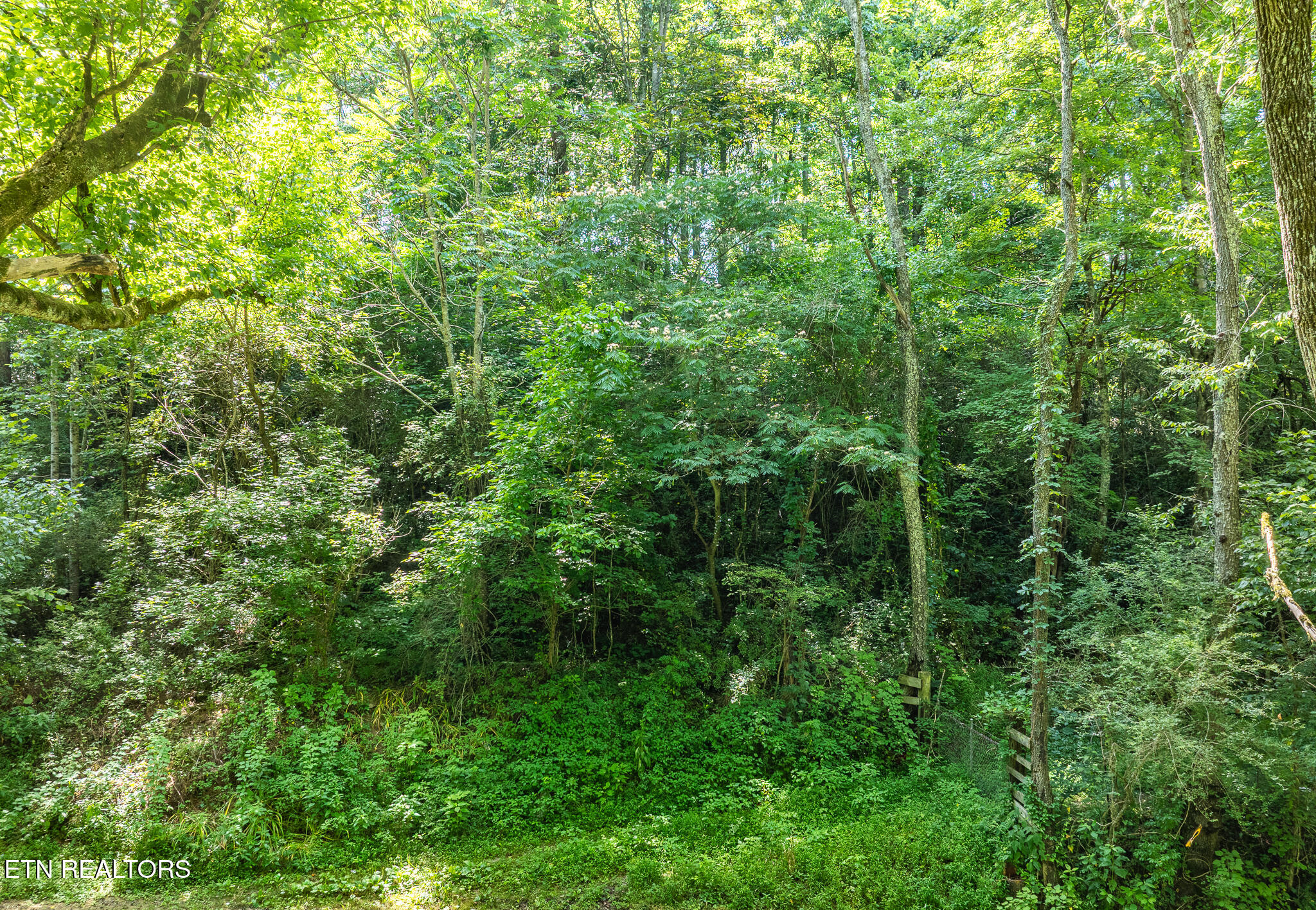 174 Old Ivey Hollow Road La Follette, TN 37766 - Photo 2 of 12 DJI_0761-HDR