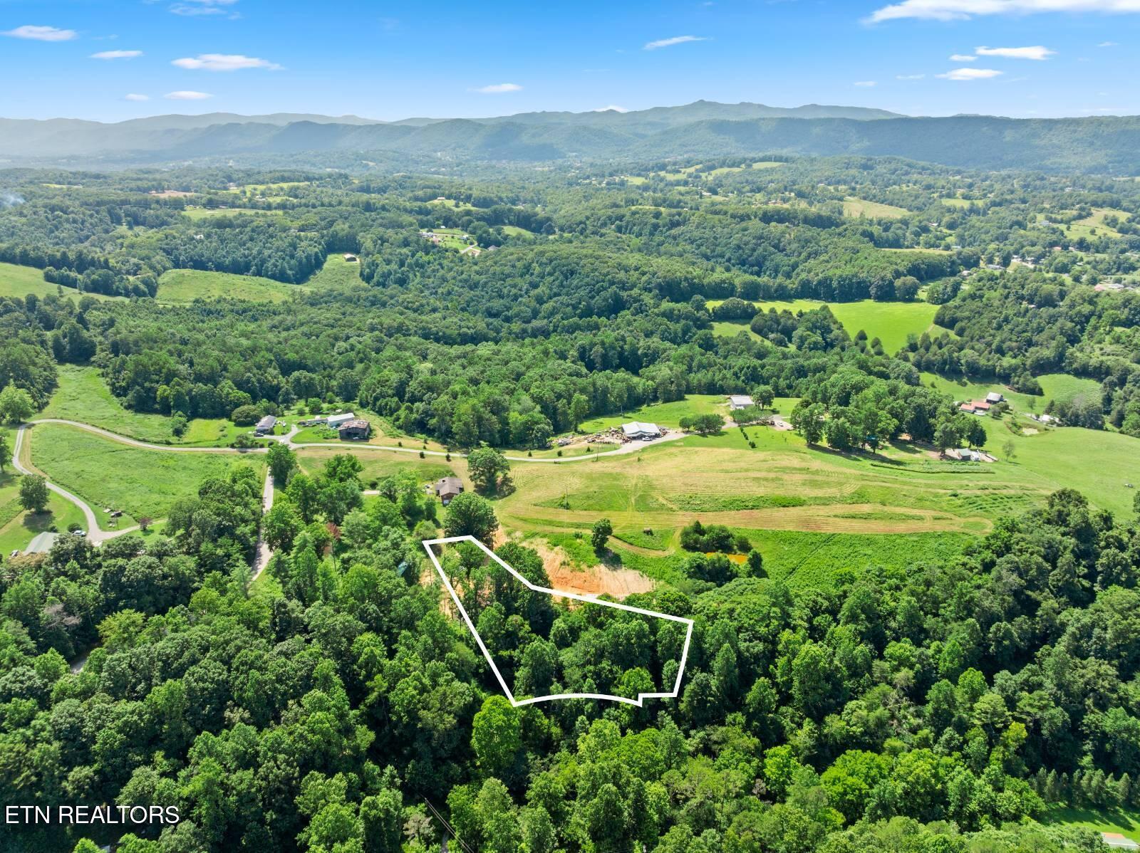 174 Old Ivey Hollow Road La Follette, TN 37766 - Photo 4 of 12 4