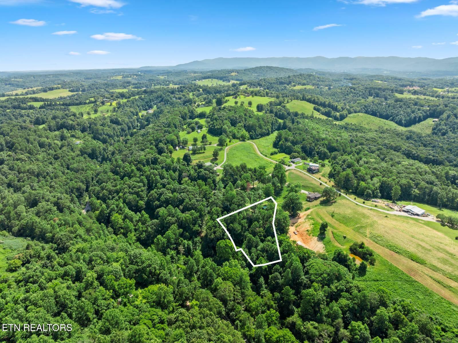 174 Old Ivey Hollow Road La Follette, TN 37766 - Photo 5 of 12 5