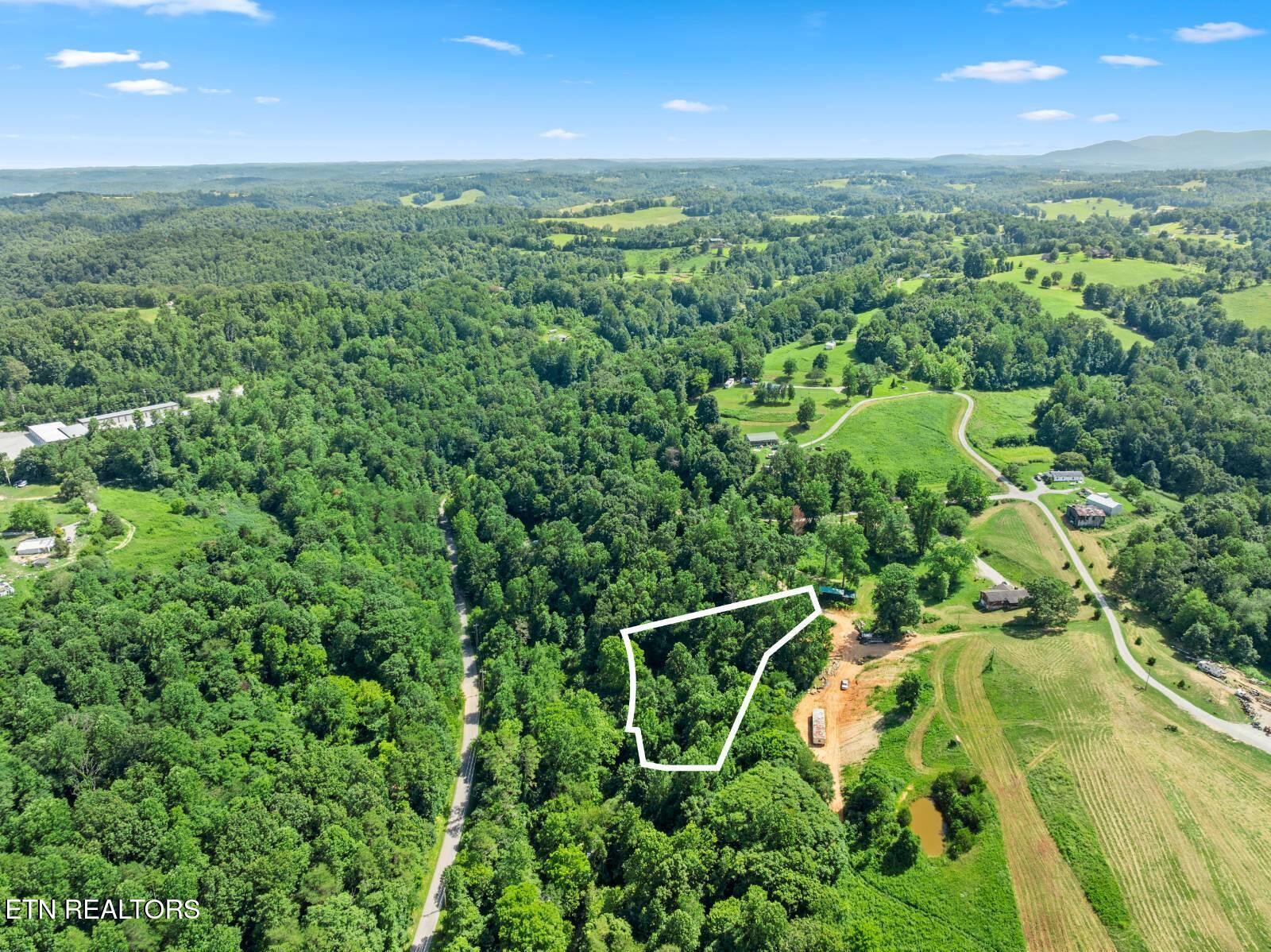 174 Old Ivey Hollow Road La Follette, TN 37766 - Photo 6 of 12 6