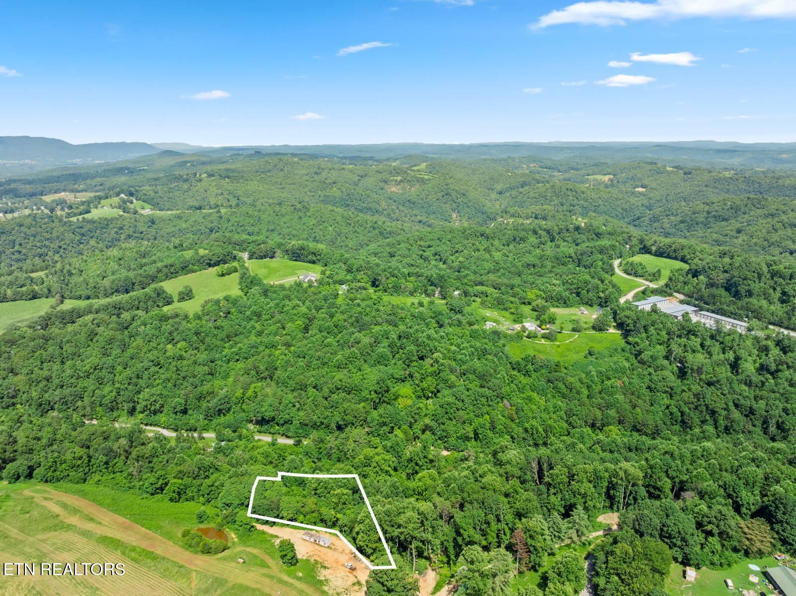 174 Old Ivey Hollow Road La Follette, TN 37766 - Photo 8 of 12 8