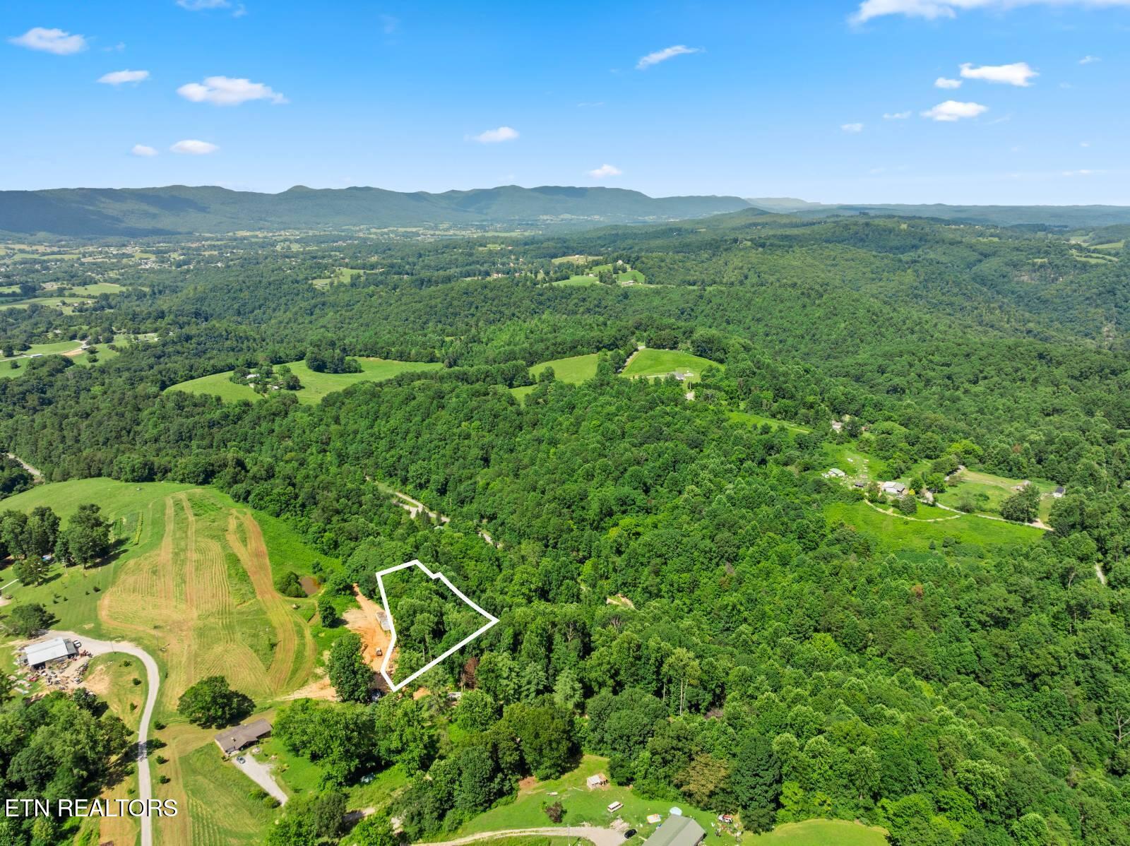 174 Old Ivey Hollow Road La Follette, TN 37766 - Photo 9 of 12 9