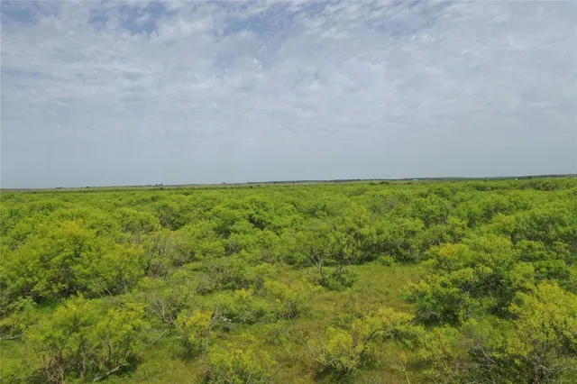 a view of a field with an trees in the background