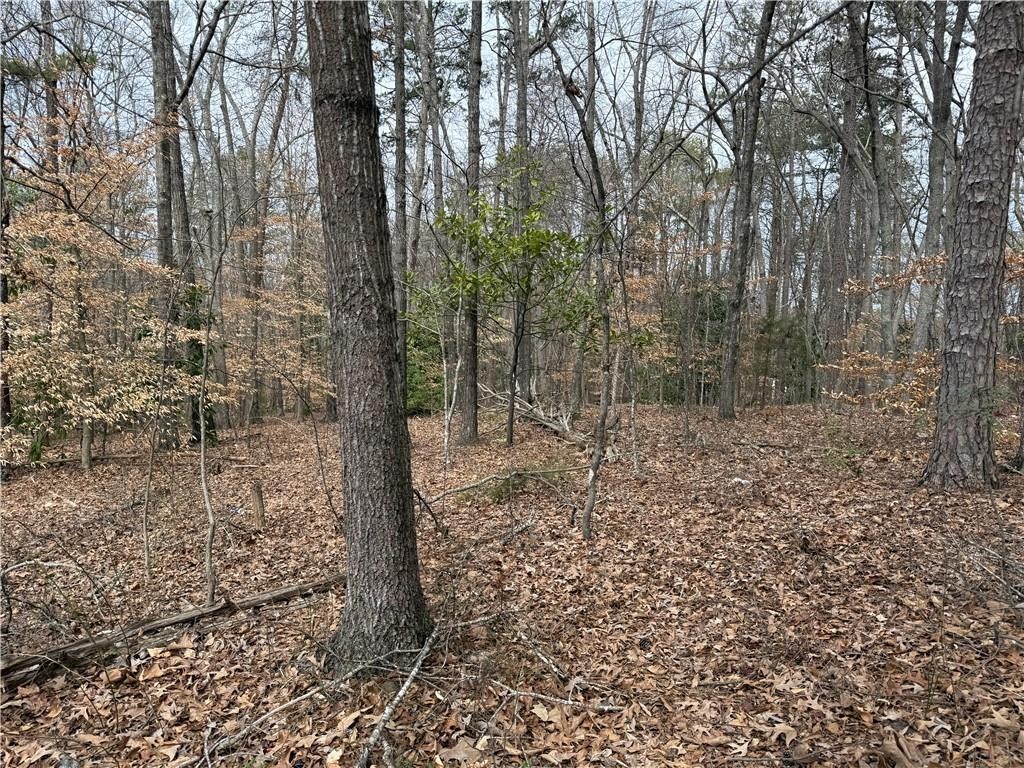 0 North Walnut Street Seneca, SC 29678 - Photo 10 of 12 A tranquil wooded lot offers a peaceful, private setting for your future home.