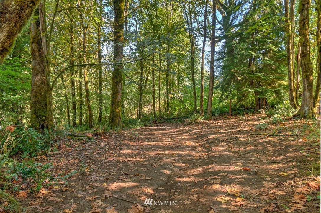 7610 Lewis River Road Ariel, WA 98603 - Photo 31 of 36 Gallery Image 31