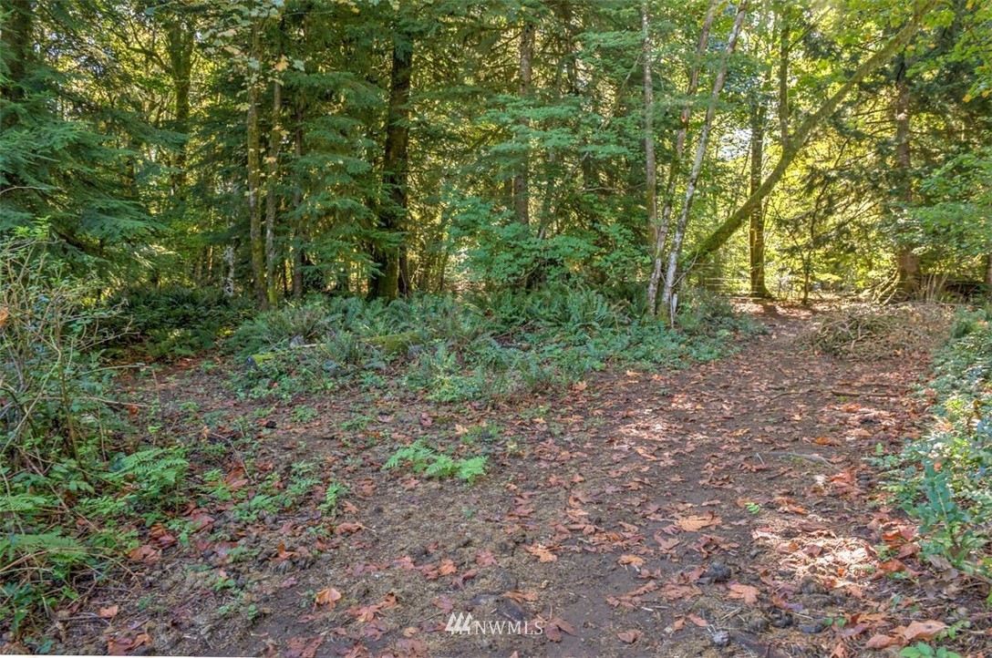 7610 Lewis River Road Ariel, WA 98603 - Photo 32 of 36 Gallery Image 32