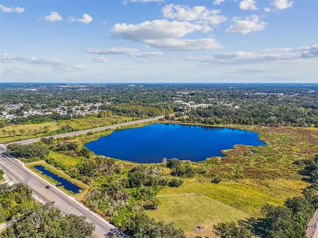 $3,890,000 | Williams Road, Seffner, FL 33584