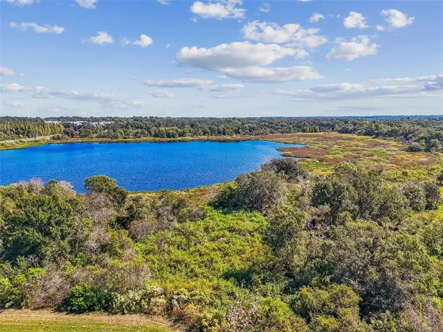 $3,890,000 | Williams Road, Seffner, FL 33584