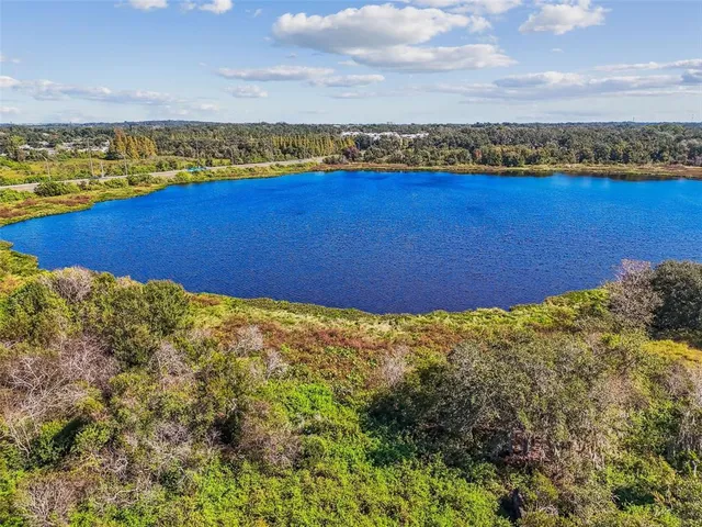 $3,890,000 | Williams Road, Seffner, FL 33584