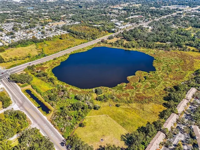 $3,890,000 | Williams Road, Seffner, FL 33584