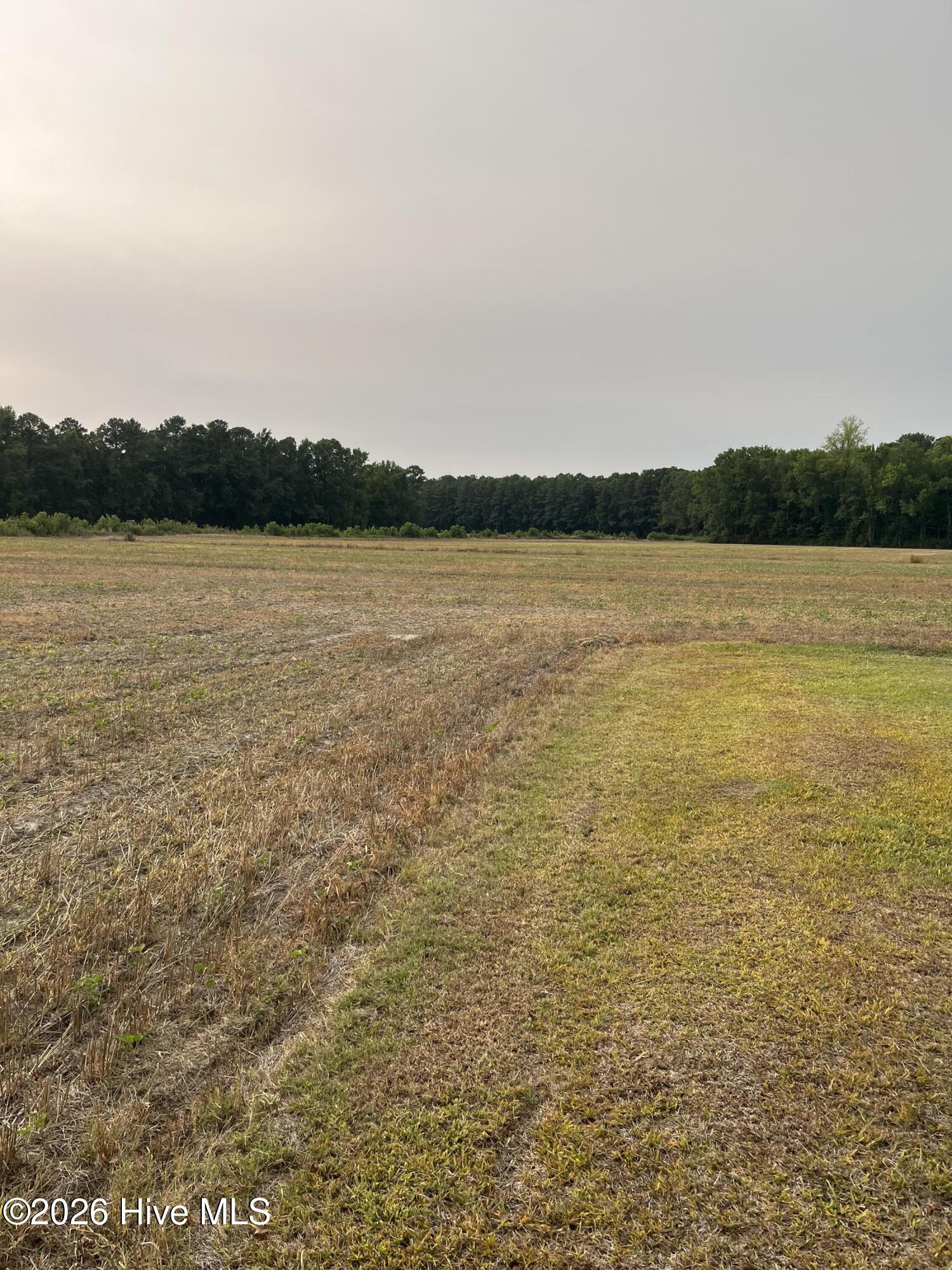 3091 Hudsons Crossroads Road Greenville, NC 27858 - Photo 3 of 22