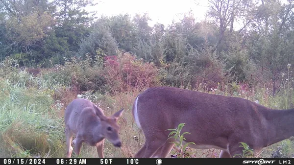 $630,000 | Lt0 Spring Street, Yorkville, WI 53182