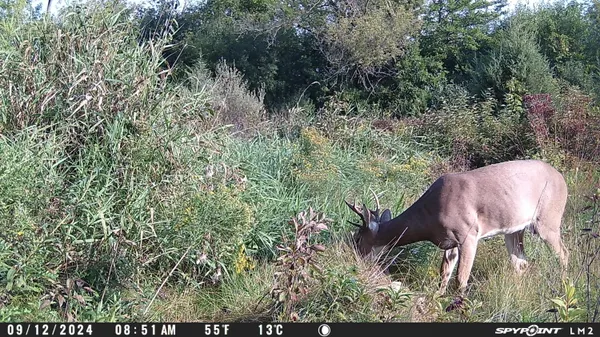 $630,000 | Lt0 Spring Street, Yorkville, WI 53182