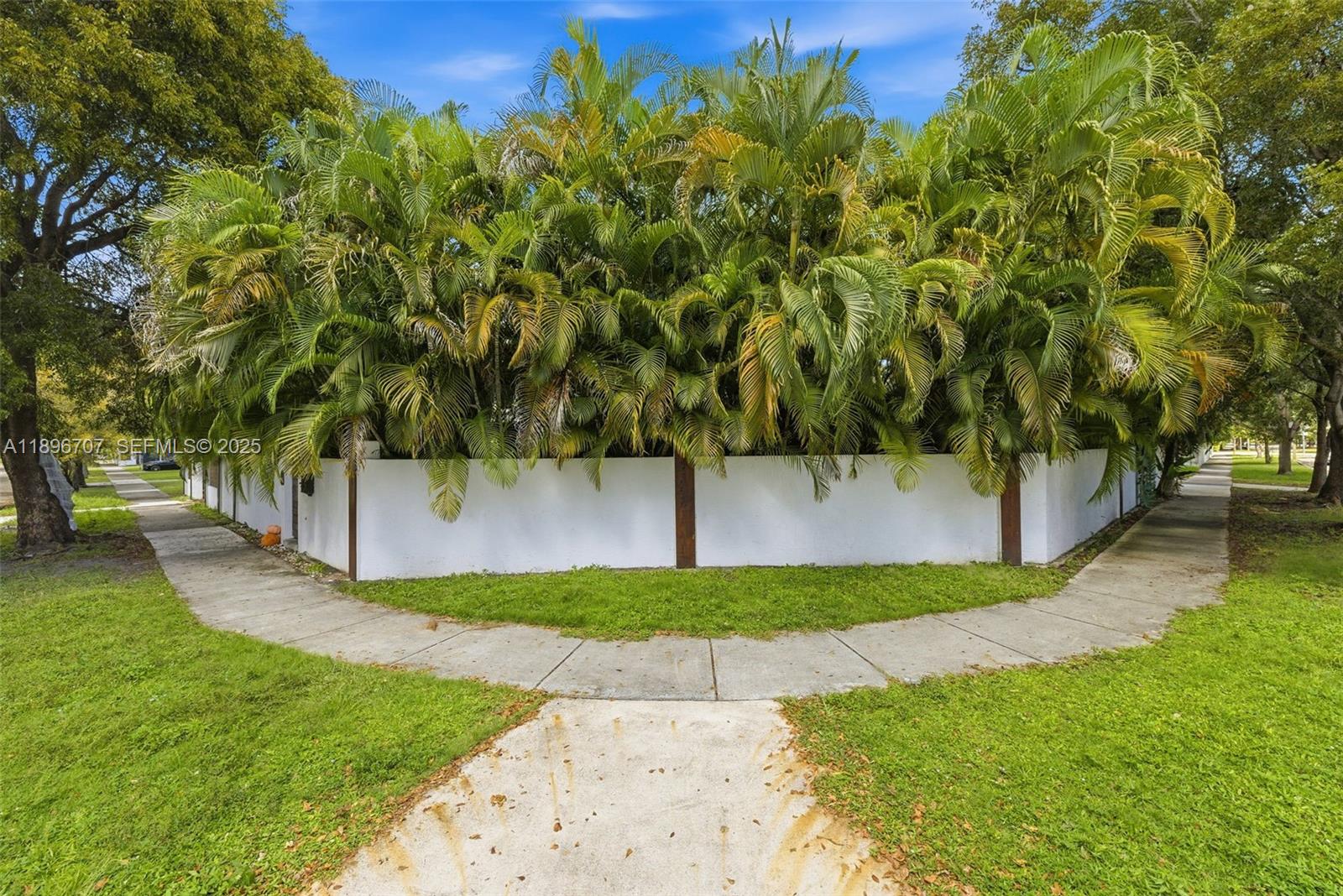 401 Southwest 28th Road Miami, FL 33129 - Photo 25 of 45 a view of a park with large trees
