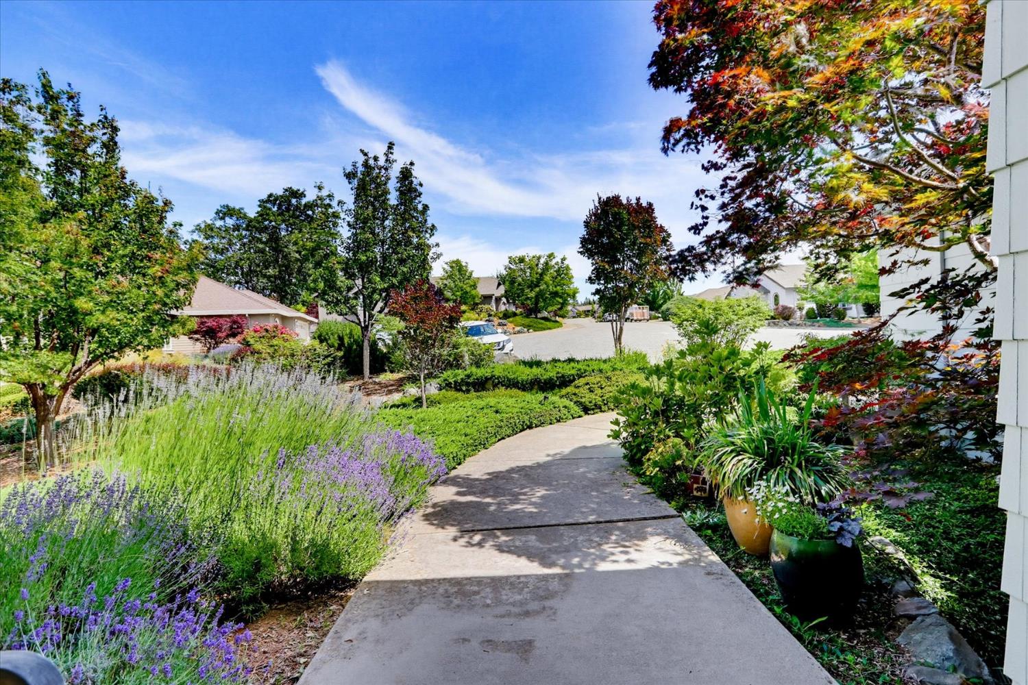970 Morgan Ranch Drive Grass Valley, CA 95945 - Photo 67 of 76 a view of a garden with plants and large trees