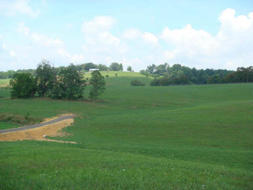 283 Mitchell Ridge Road Jonesborough, TN 37659 - Photo 1 of 10 Photo 1