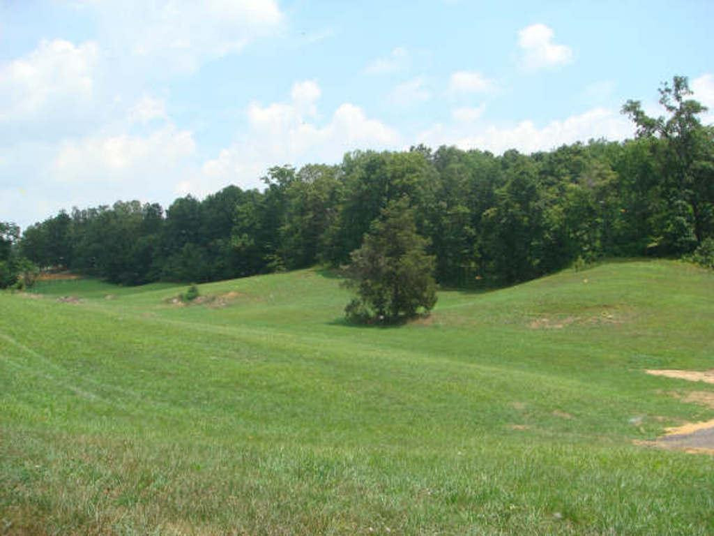 283 Mitchell Ridge Road Jonesborough, TN 37659 - Photo 3 of 10 Photo 3