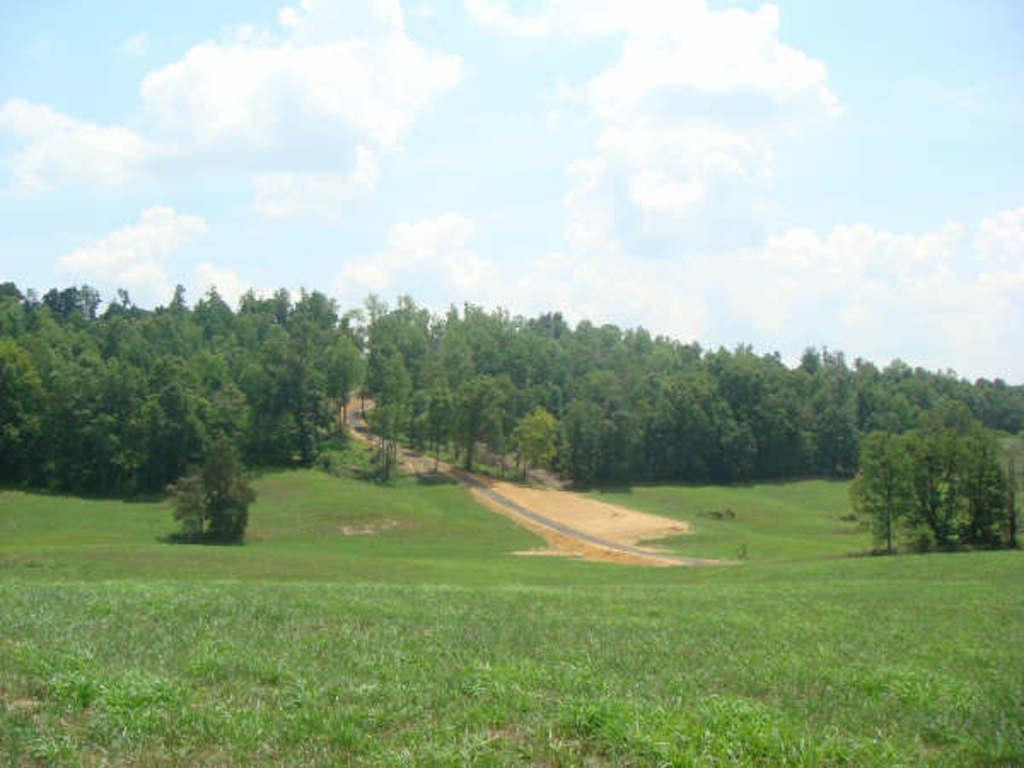 283 Mitchell Ridge Road Jonesborough, TN 37659 - Photo 4 of 10 Photo 4