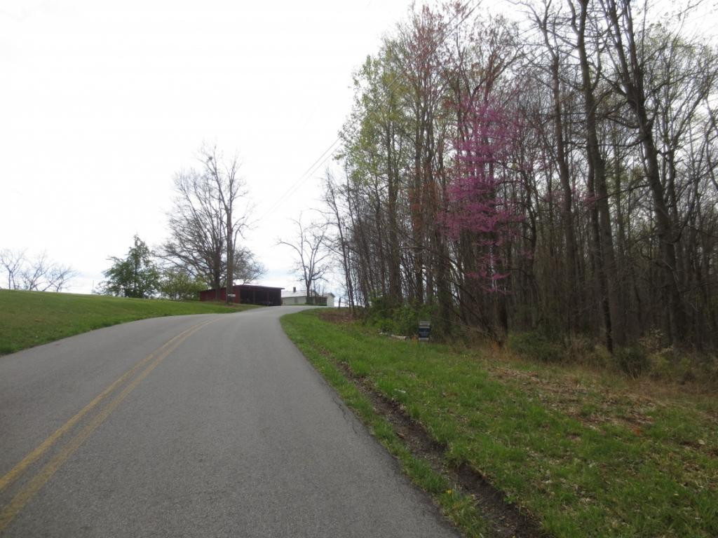 283 Mitchell Ridge Road Jonesborough, TN 37659 - Photo 7 of 10 Photo 7