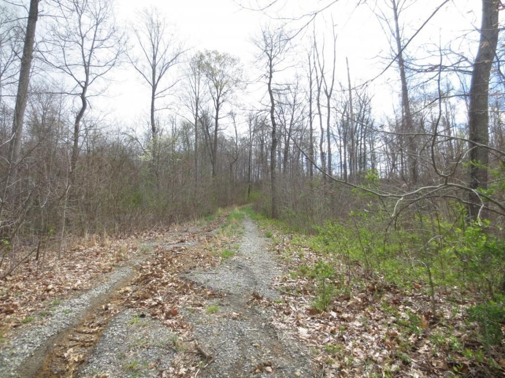283 Mitchell Ridge Road Jonesborough, TN 37659 - Photo 10 of 10 Photo 10