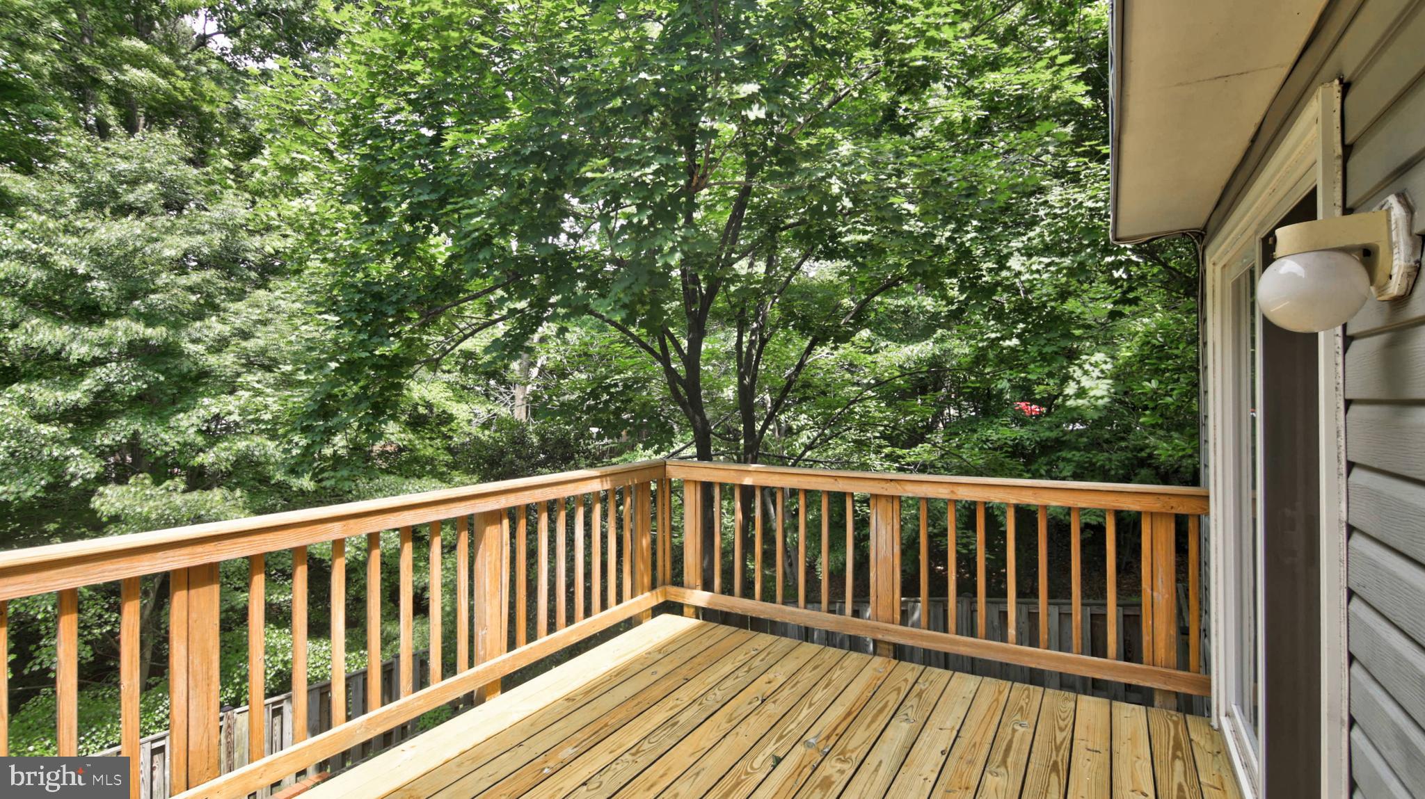 8053 Orange Plank Road Springfield, VA 22153 - Photo 24 of 29