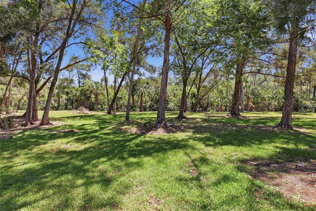 6248 Colony Circle Weeki Wachee, FL 34607 - Photo 10 of 20 a view of yard with trees