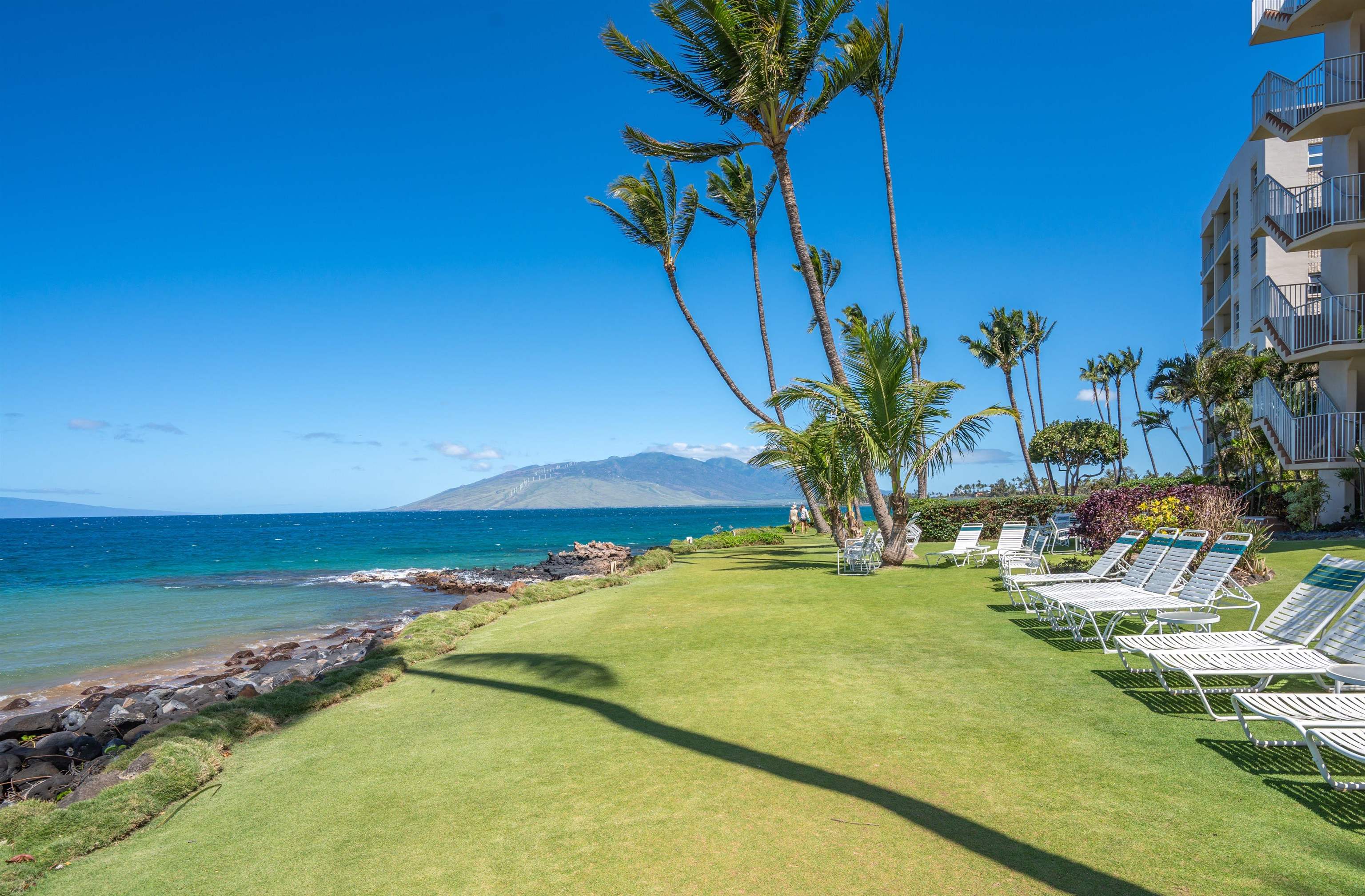 2450 South Kihei Road, Unit 301 Kihei, HI 96753 - Photo 32 of 35 a view of an ocean with a palm tree