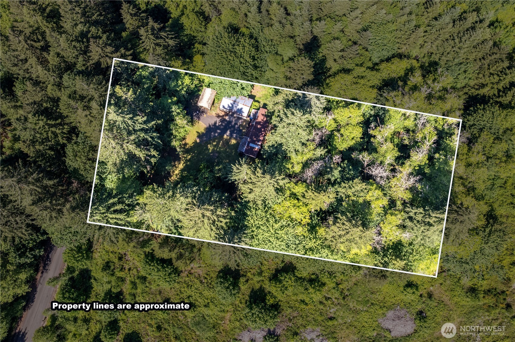 198 Burnett Road Winlock, WA 98596 - Photo 3 of 30
