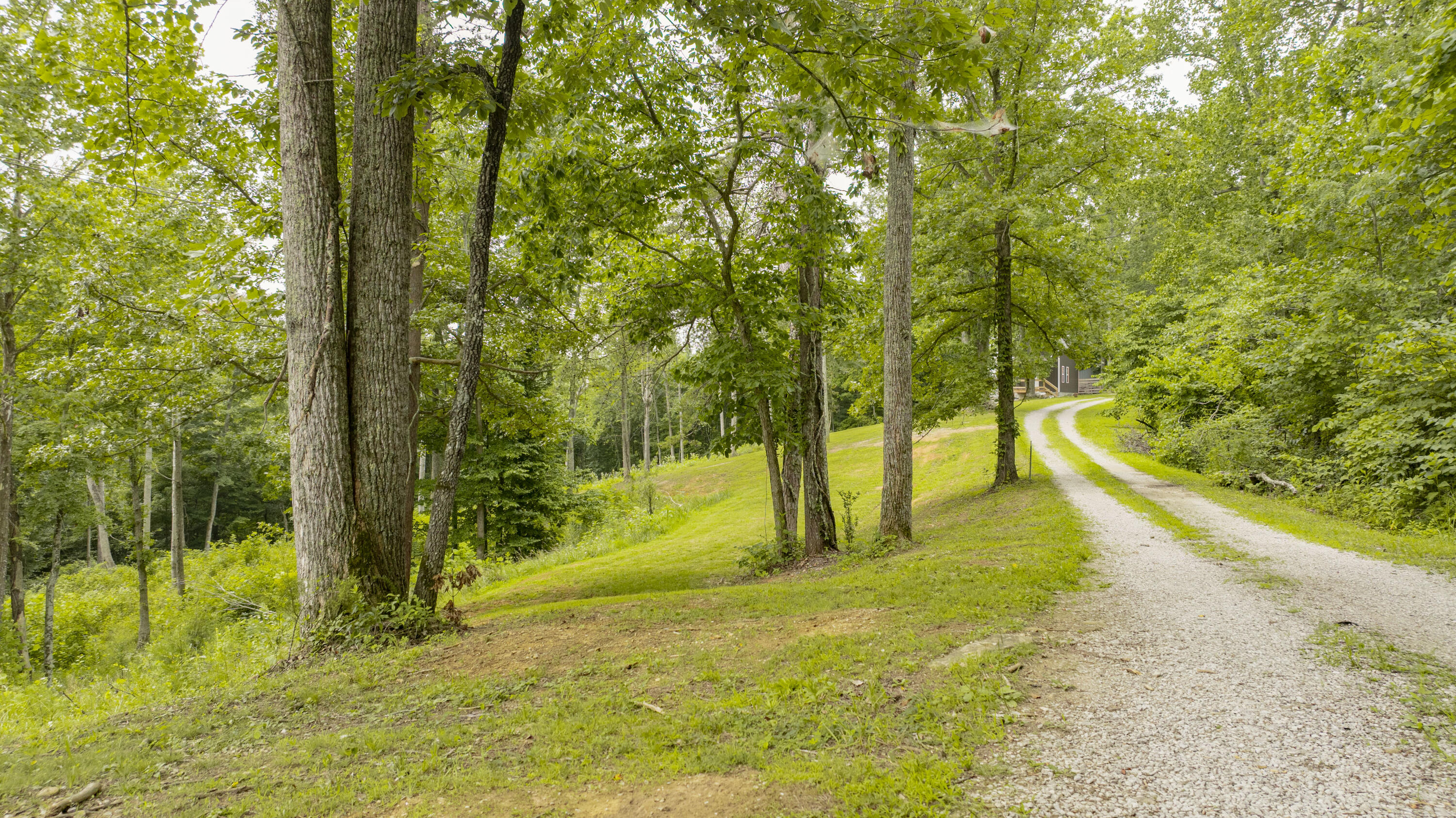 439 Lakepoint View Road Monticello, KY 42633 - Photo 14 of 28 Lakeview View rd-13