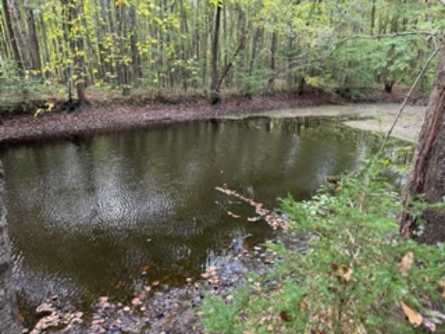 1785 Old Bruceton Road Bruceton, TN 38317 - Photo 11 of 18 a view of a lake with a forest