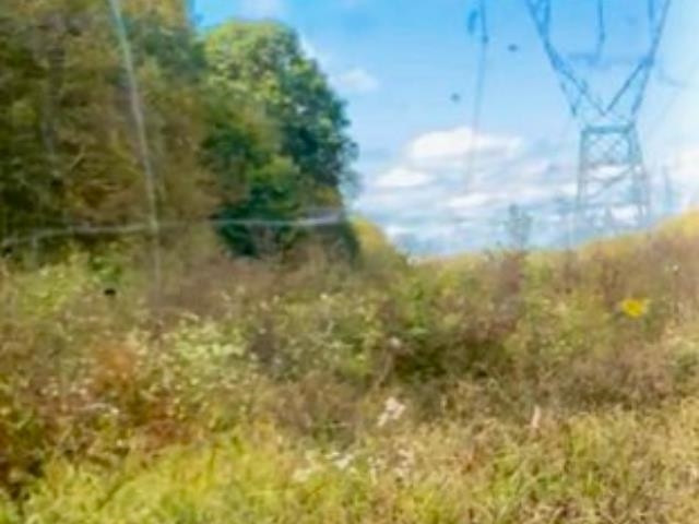 1785 Old Bruceton Road Bruceton, TN 38317 - Photo 12 of 18