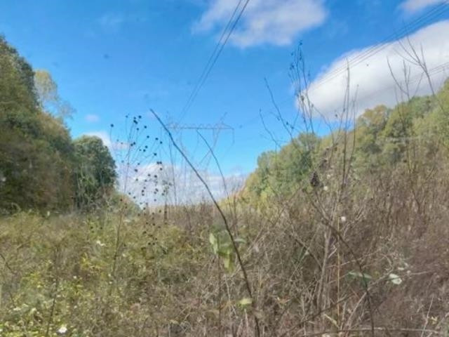 1785 Old Bruceton Road Bruceton, TN 38317 - Photo 15 of 18 a backyard of a house