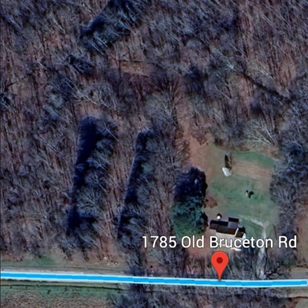 1785 Old Bruceton Road Bruceton, TN 38317 - Photo 18 of 18 a view of a yard