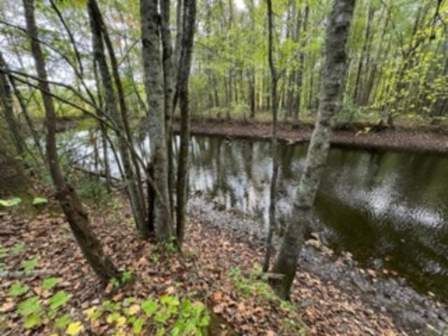 1785 Old Bruceton Road Bruceton, TN 38317 - Photo 7 of 18 a view of a lake with a tree
