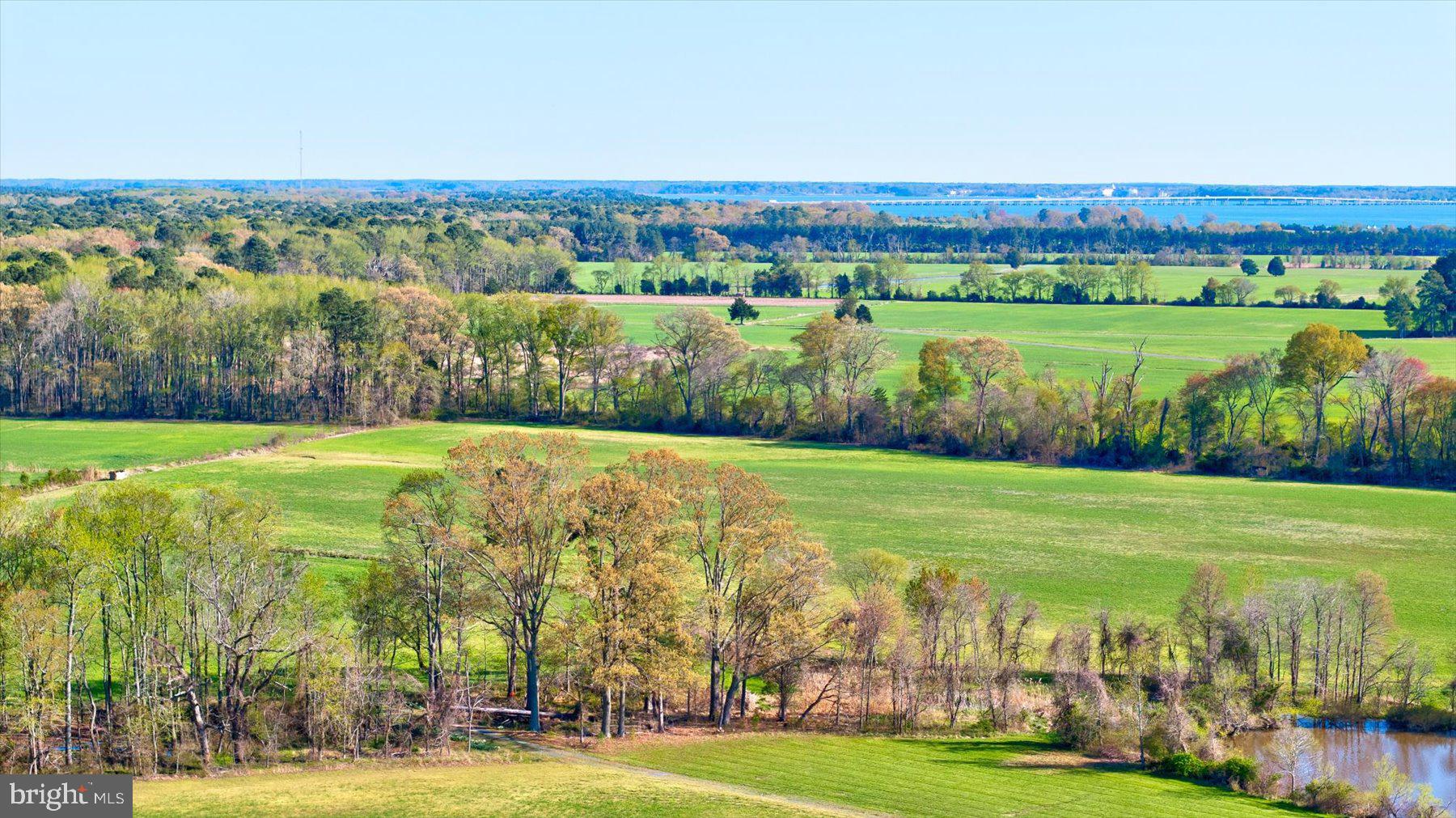 29031 Howell Point Road Trappe, MD 21673 - Photo 103 of 129