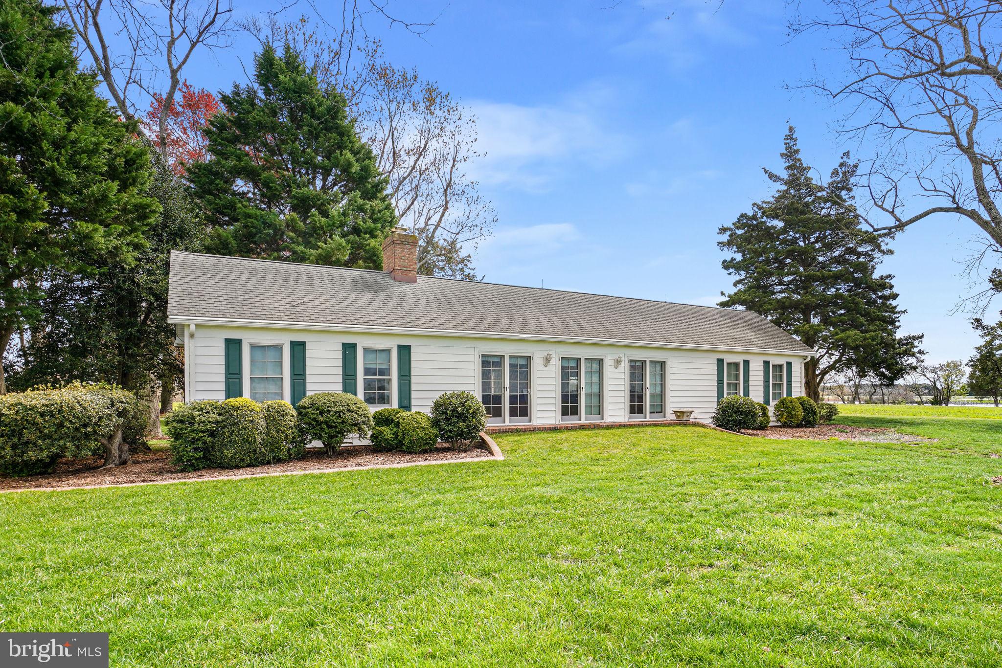 29031 Howell Point Road Trappe, MD 21673 - Photo 128 of 129 a view of a house with a big yard and potted plants and large trees