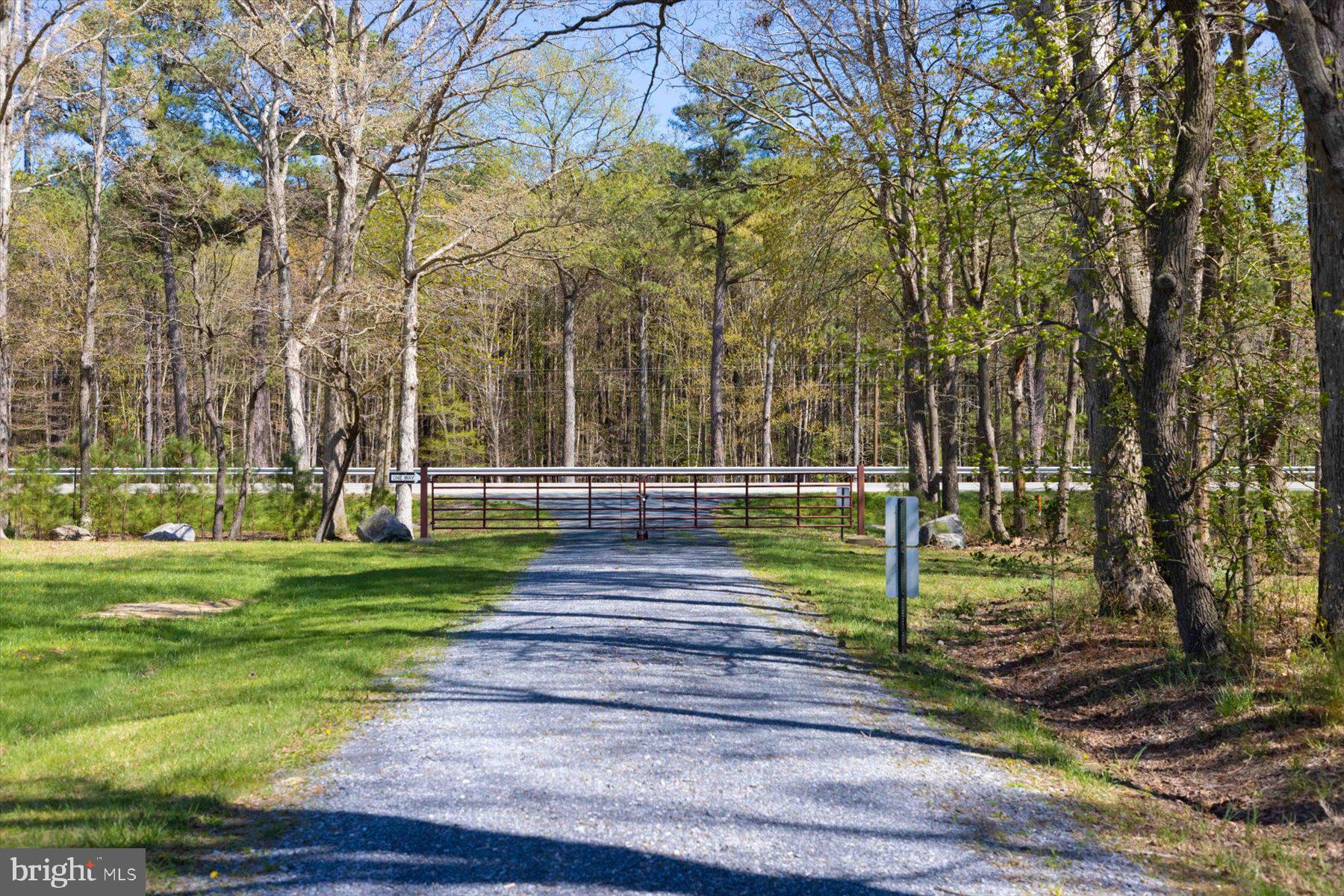 29031 Howell Point Road Trappe, MD 21673 - Photo 13 of 129 a view of a park with large trees