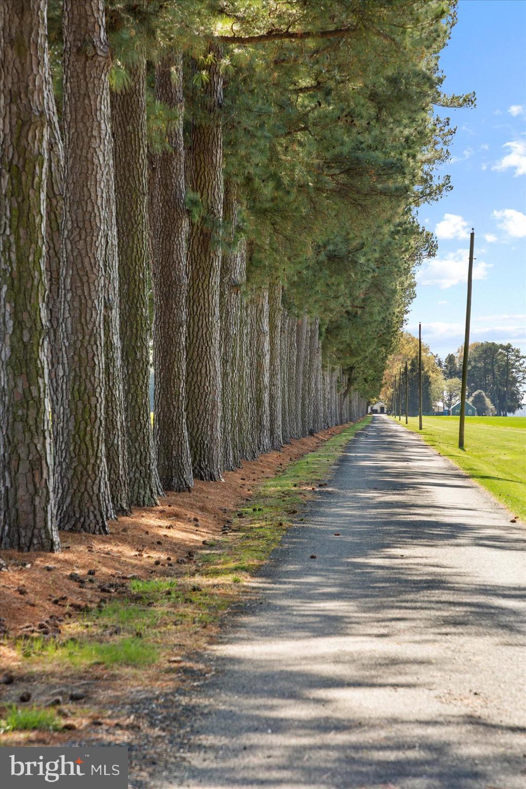 29031 Howell Point Road Trappe, MD 21673 - Photo 16 of 129