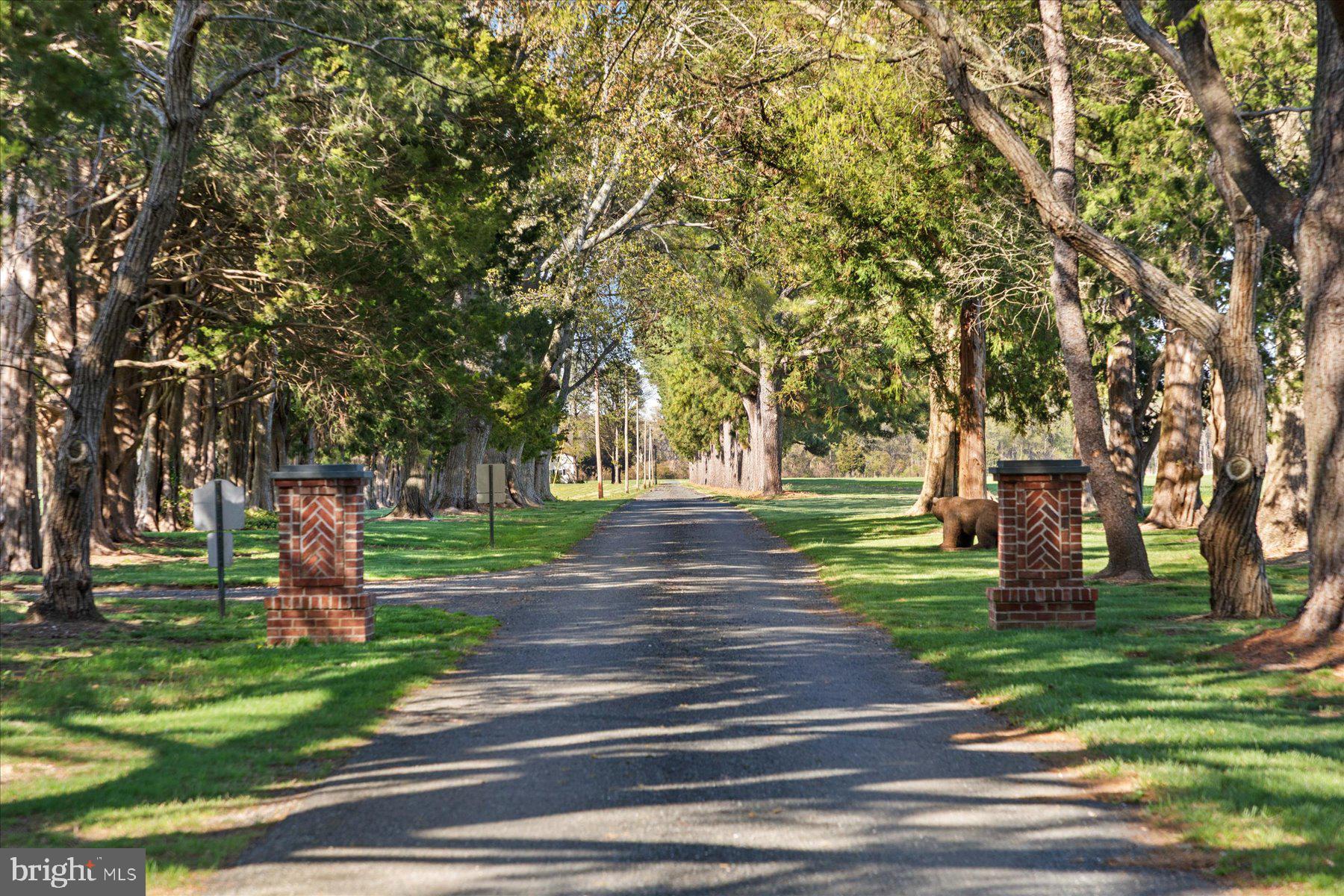 29031 Howell Point Road Trappe, MD 21673 - Photo 68 of 129