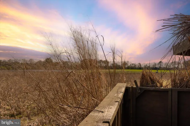 $11,500,000 | 29031 Howell Point Road, Trappe, MD 21673