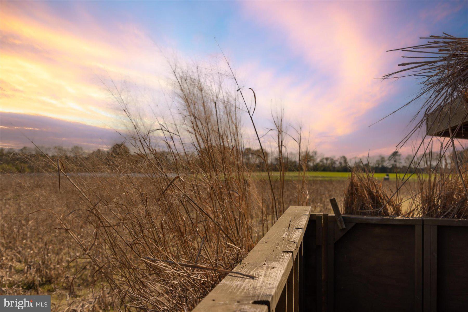 29031 Howell Point Road Trappe, MD 21673 - Photo 70 of 129