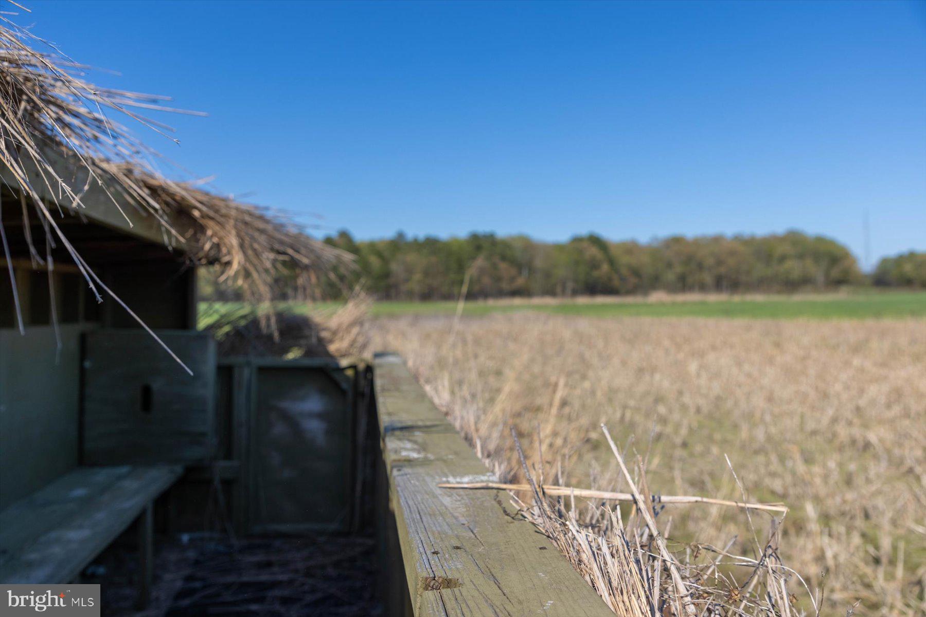 29031 Howell Point Road Trappe, MD 21673 - Photo 71 of 129
