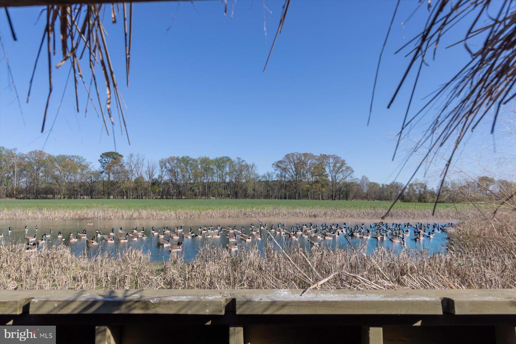 29031 Howell Point Road Trappe, MD 21673 - Photo 72 of 129 a view of a lake with a mountain in the background
