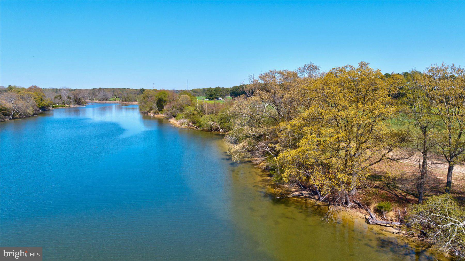 29031 Howell Point Road Trappe, MD 21673 - Photo 80 of 129