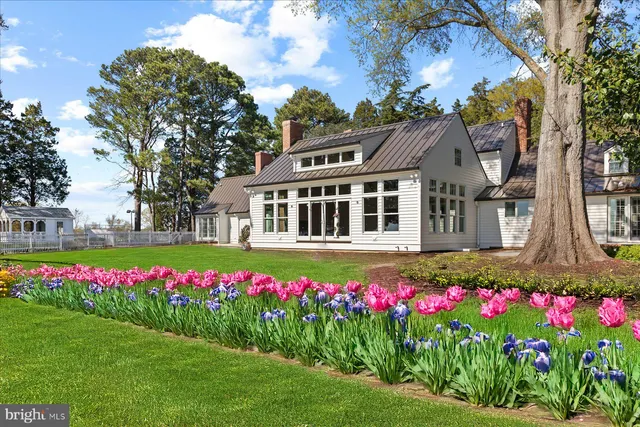 a front view of a house with yard and green space