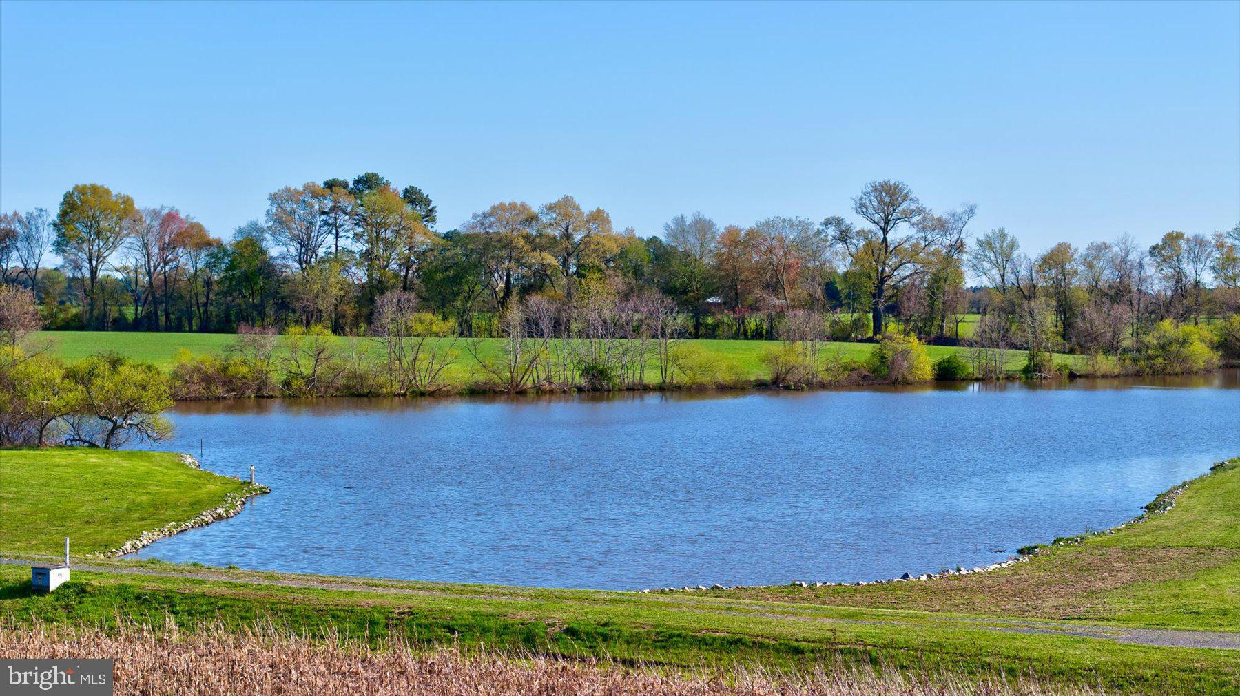 29031 Howell Point Road Trappe, MD 21673 - Photo 98 of 129